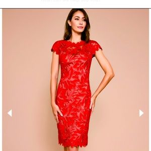 Tadashi Shoji Floral Appliqué Dress